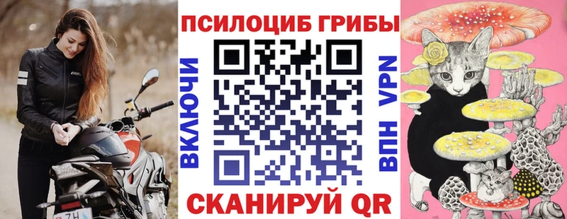 как найти закладки  Няндома  Галлюциногенные грибы Psilocybine cubensis 